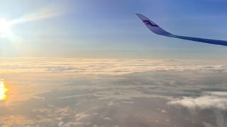 Thumbnail of post image 029